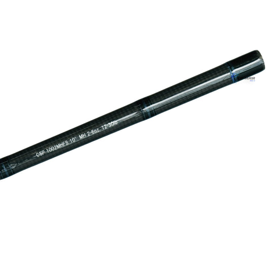 Caña Daiwa Coastal Surf 10