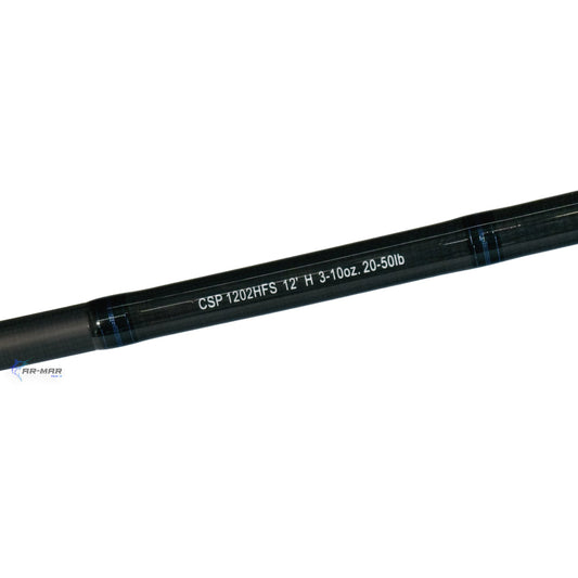 Caña Daiwa Coastal Surf 12