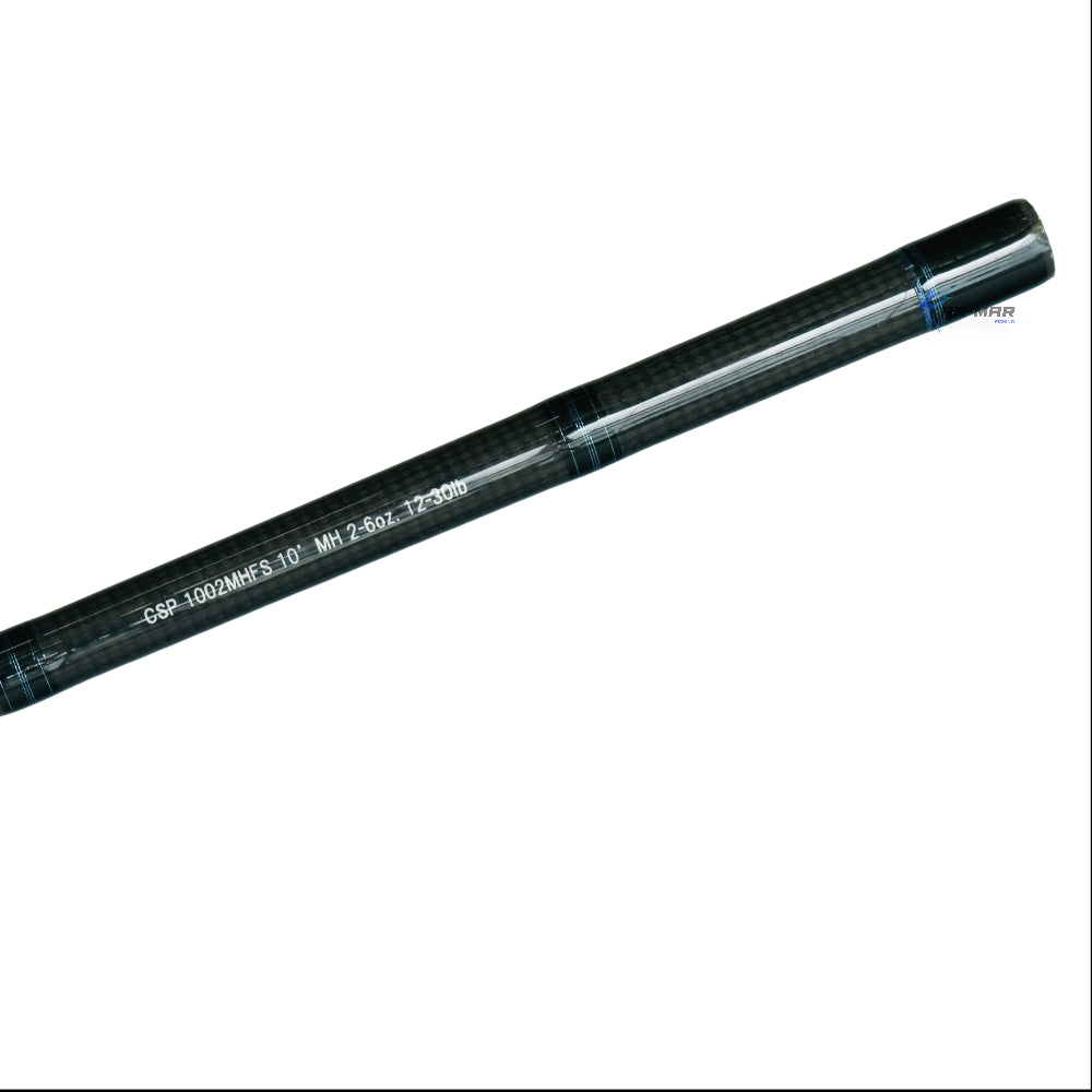 Caña Daiwa Coastal Surf 10