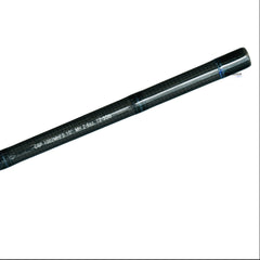 Caña Daiwa Coastal Surf 10