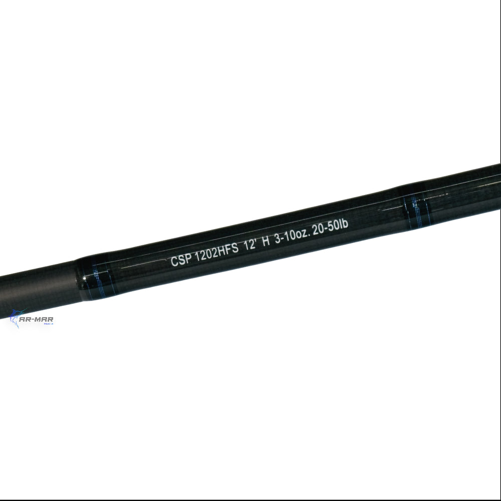 Caña Daiwa Coastal Surf 12