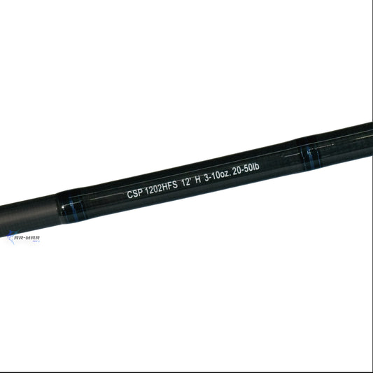 Caña Daiwa Coastal Surf 12