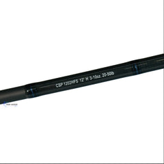 Caña Daiwa Coastal Surf 12