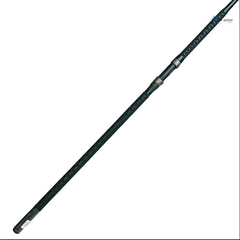 Caña Daiwa Coastal Surf 12