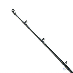 Caña Daiwa Sealine 6.6 Pies 15-40Lb